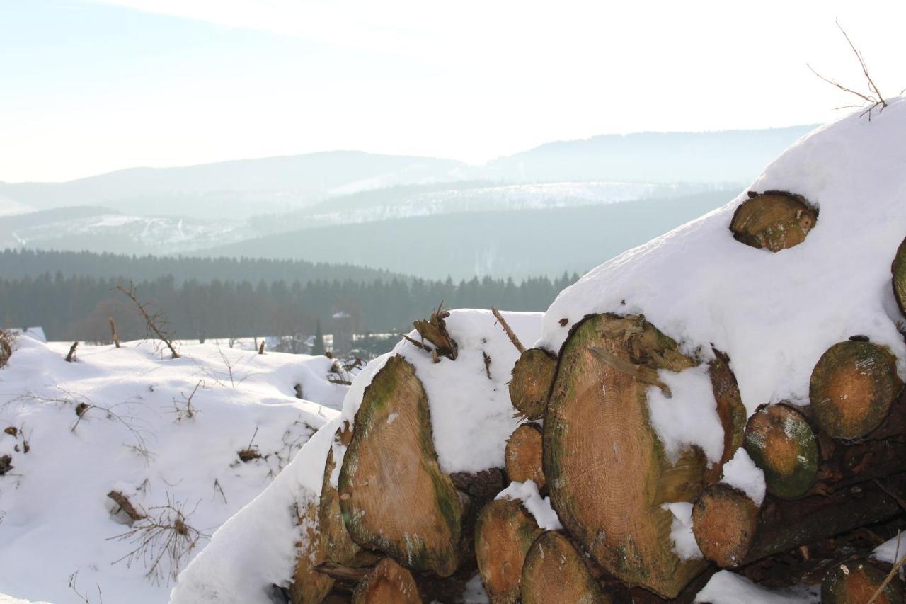 Ferienhaus Am Ruhberg Winterberg Esterno foto