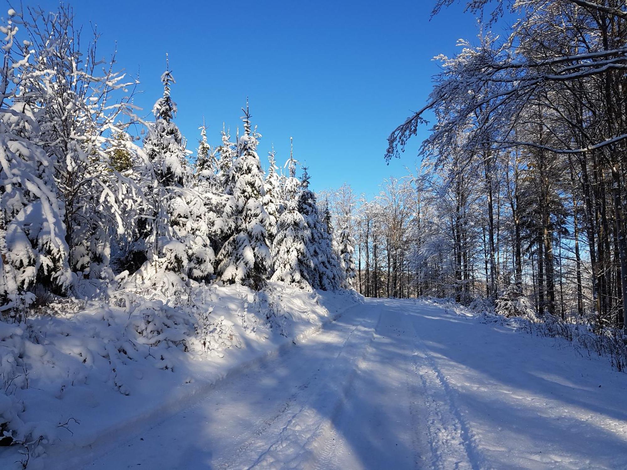 Ferienhaus Am Ruhberg Winterberg Esterno foto
