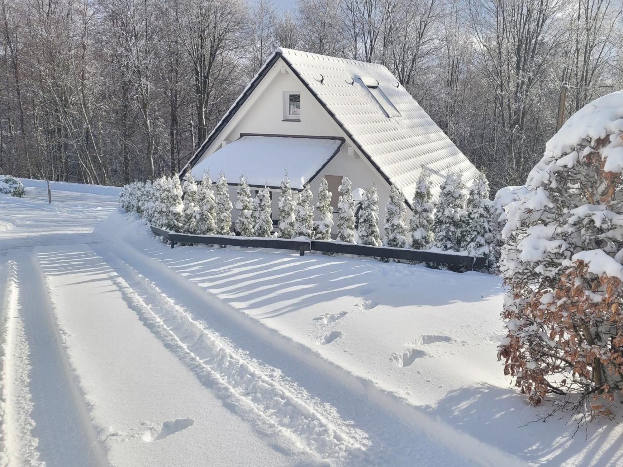 Ferienhaus Am Ruhberg Winterberg Esterno foto